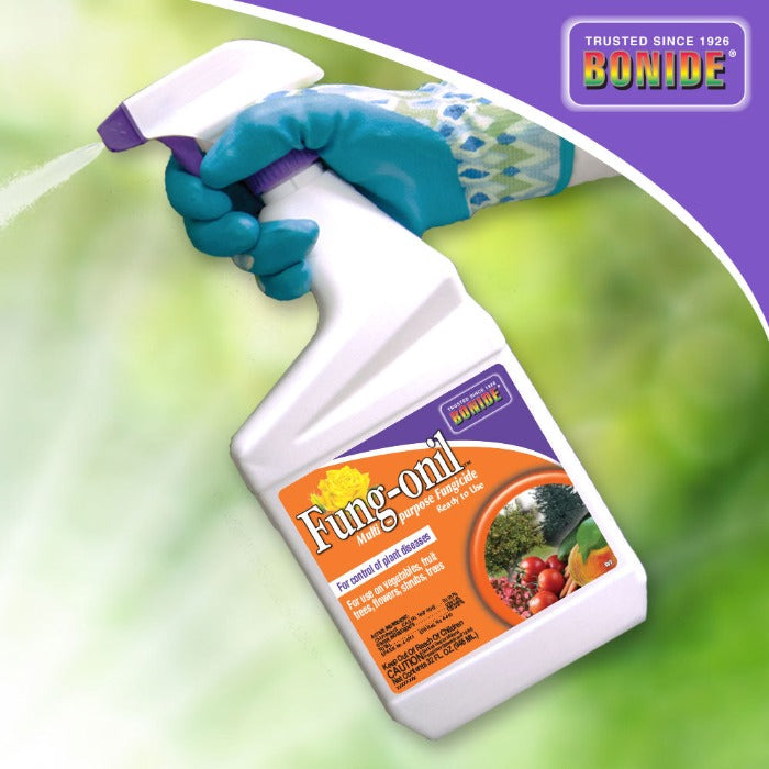 Ready-to-use fungicide bottle, shown being sprayed, controls plant diseases on various plants.

