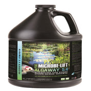 One-gallon jug of algaecide for ponds, featuring an idyllic pond scene on the label.
