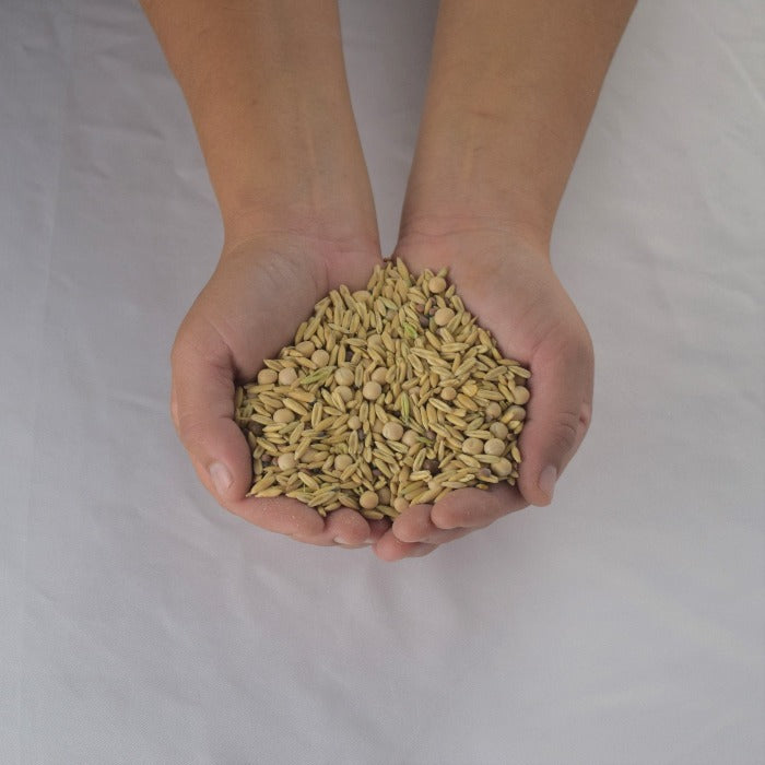 Organic Cover Crop Seed Mix: Oats, peas, and other seeds for soil improvement.
