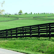 Black wooden fence bordering lush green pasture with horses in the distance.
