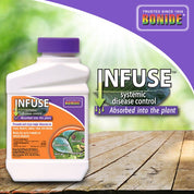 Bonide Infuse Systemic Plant Fungicide Concentrate: 16 fl oz bottle; prevents & stops major diseases on roses, flowers, lawns, trees & shrubs for up to 4 weeks.
