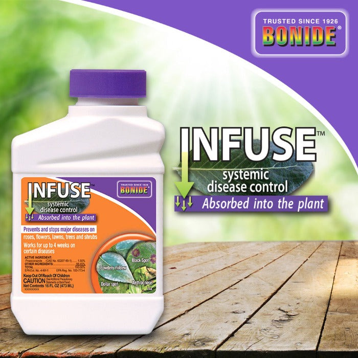 Bonide Infuse Systemic Plant Fungicide Concentrate: 16 fl oz bottle; prevents & stops major diseases on roses, flowers, lawns, trees & shrubs for up to 4 weeks.
