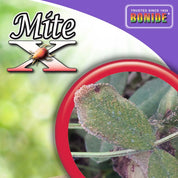 Close-up of mite-infested leaf, showcasing plant damage.

