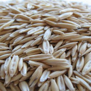 Close-up of light beige oat seeds, showcasing their elongated shape and texture.
