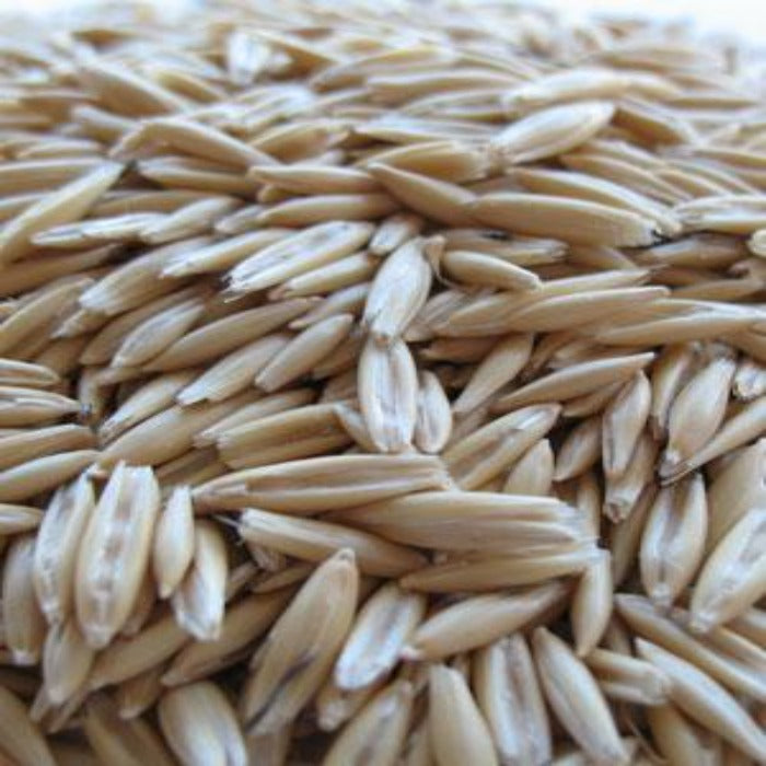 Close-up of light beige oat seeds, showcasing their elongated shape and texture.
