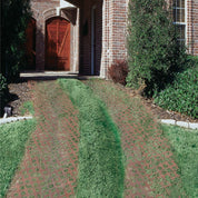 Grass-paved driveway beside a brick home, showcasing permeable paving system.
