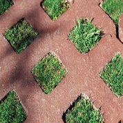 Grasstone II 80mm permeable paving: Red-brown brick pavers with square cut-outs for grass growth, creating a unique landscape design.
