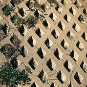 Tan permeable paving stones with small plants growing in the gaps.
