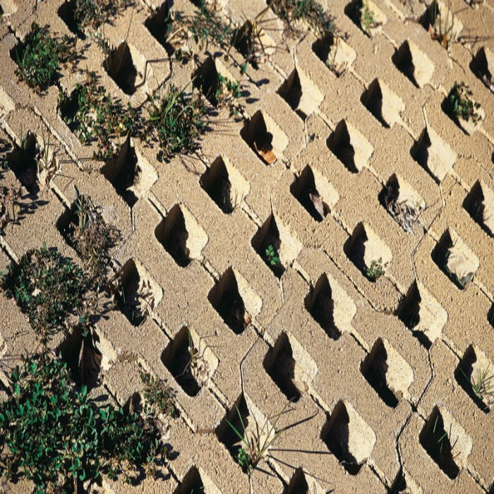 Tan permeable paving stones with small plants growing in the gaps.
