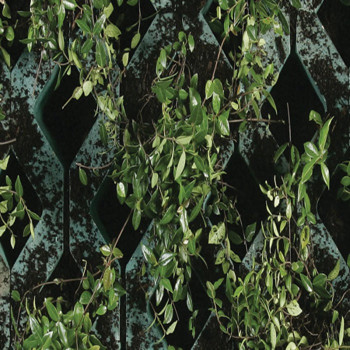Lush green foliage sprouting from dark teal modular planters.
