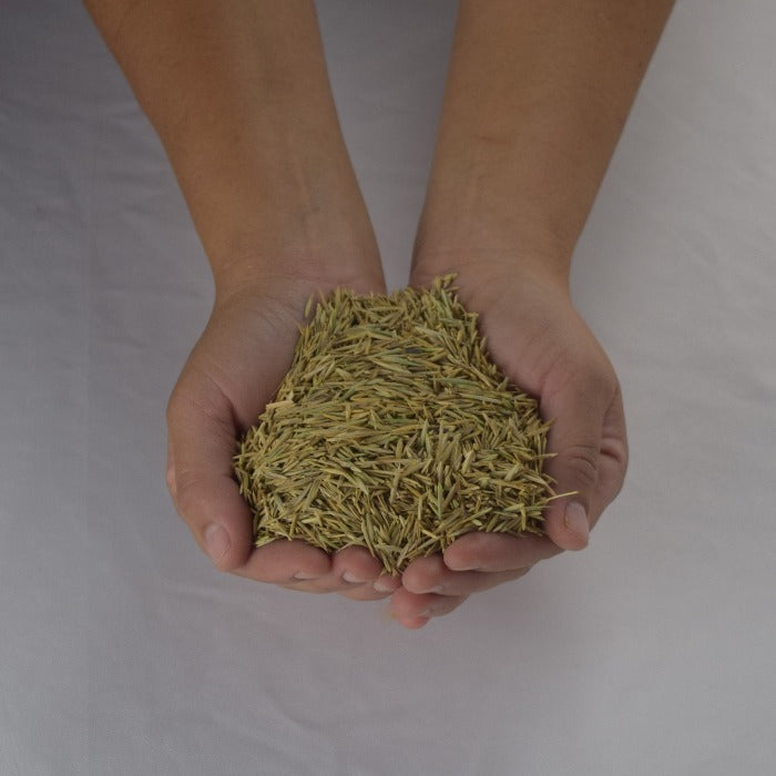 Rivendell Pitkin County Seed Mix:  A handful of premium wildflower seeds for vibrant blooms.
