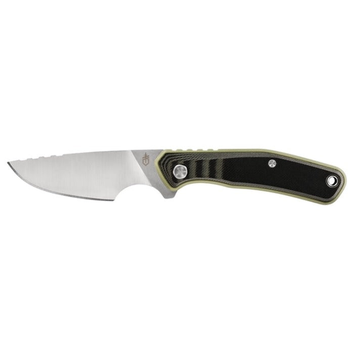 Gerber Downwind Caper knife:  serrated blade, olive drab and black handle.
