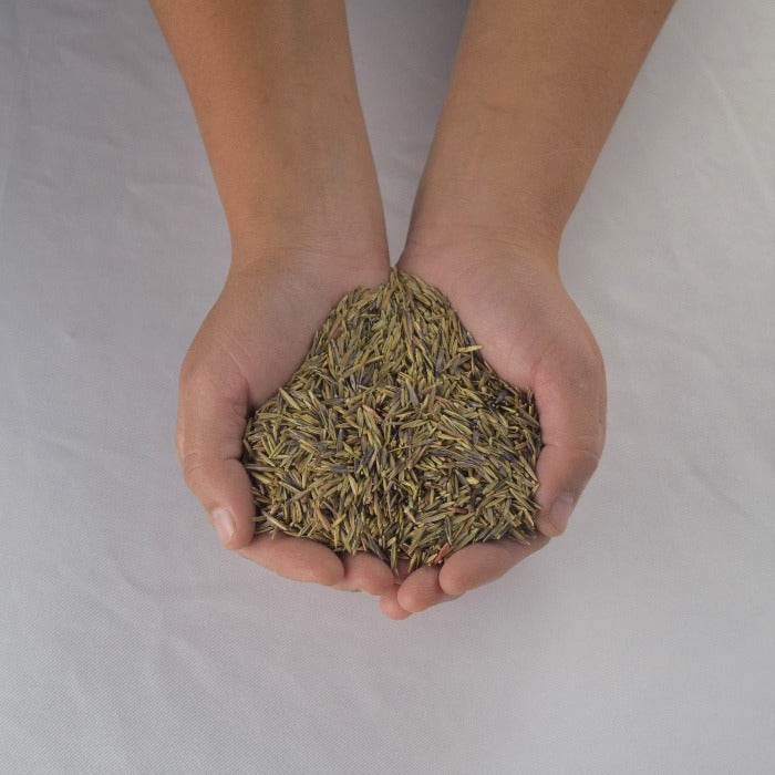 Rivendell's Mountain Pasture Seed Mix:  Handful of premium wildflower & grass seeds for vibrant meadows.
