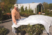 Person placing lightweight white frost protection fabric over plants outdoors.

