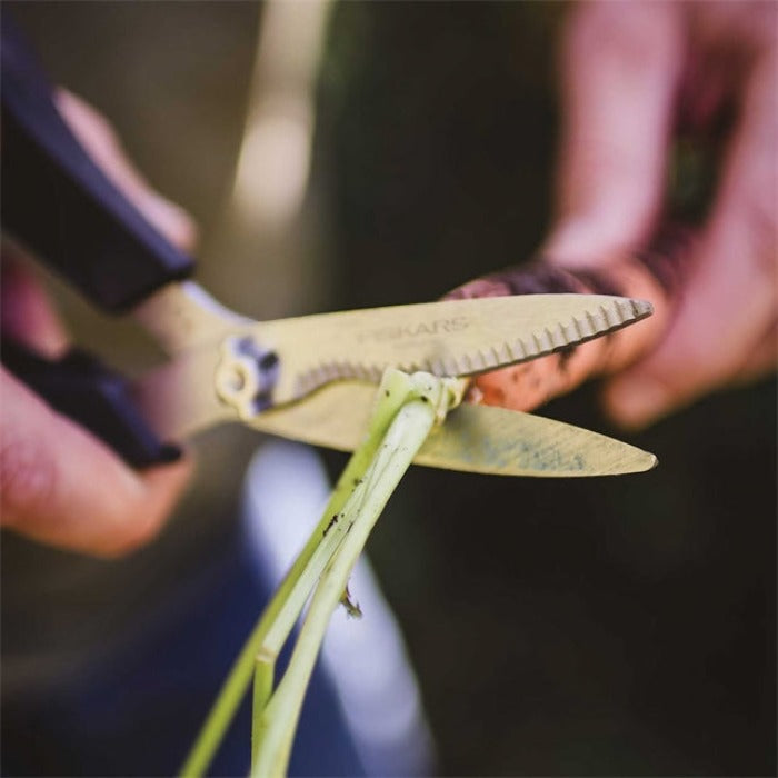 Hands using gold herb shears to trim a green stem.
