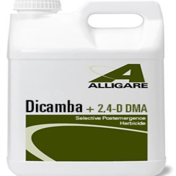 Alligare Dicamba Plus 2,4-D DMA: Selective postemergence herbicide in a white plastic jug.
