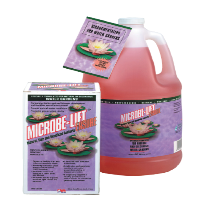 Microbe-Lift Ensure: Natural, safe beneficial bacteria for natural & decorative water gardens. Encourages better root & blossom development, clearer water, and healthier plant growth. One gallon jug & box shown.

