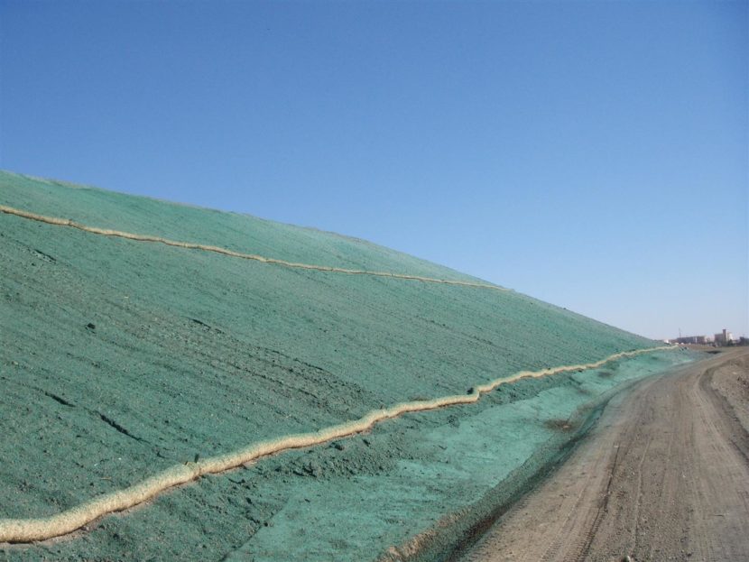 Hydromulch erosion control on a sloped terrain, stabilized with coir logs.
