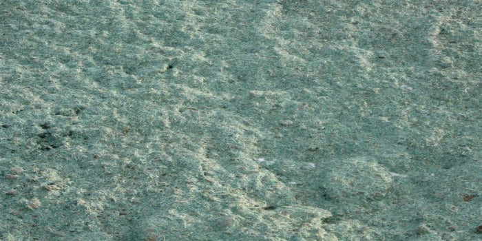Hydromulch landscaping material, textured green hue.
