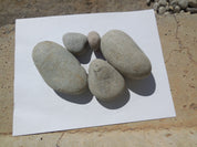 Grey Gunnison River Rocks, 2"-4", landscaping stones
