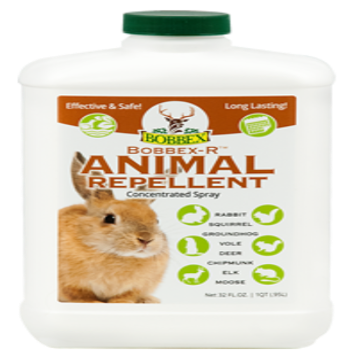 Bobbex-R Animal Repellent Concentrated Spray: effective & long-lasting solution for rabbits, squirrels, groundhogs, voles, deer, chipmunks, elk, and moose.
