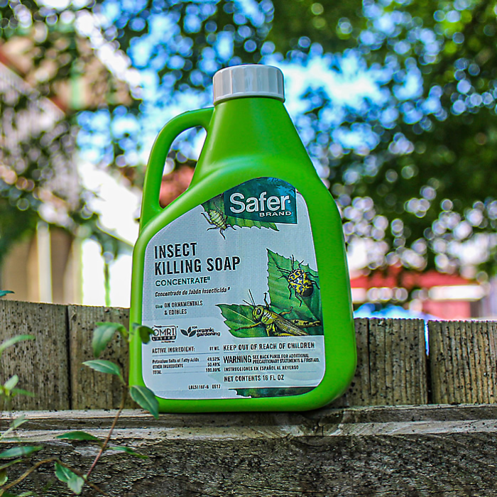 insecticidal soap lowe's Safer Brand Insect Killing Soap