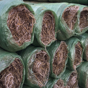 Straw-Coconut Erosion Control: Biodegradable straw rolls in green plastic packaging for land stabilization.
